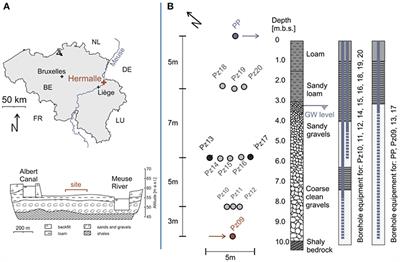 Heterogeneity and Prior Uncertainty Investigation Using a Joint Heat and Solute Tracer Experiment in Alluvial Sediments